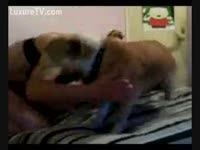 [ Pet XXX Film ] Horny fellow with his little pooch